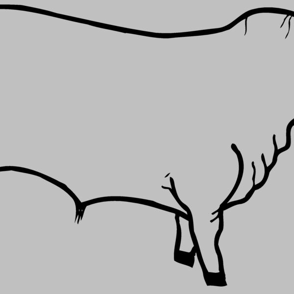 COW001 Thumbnail