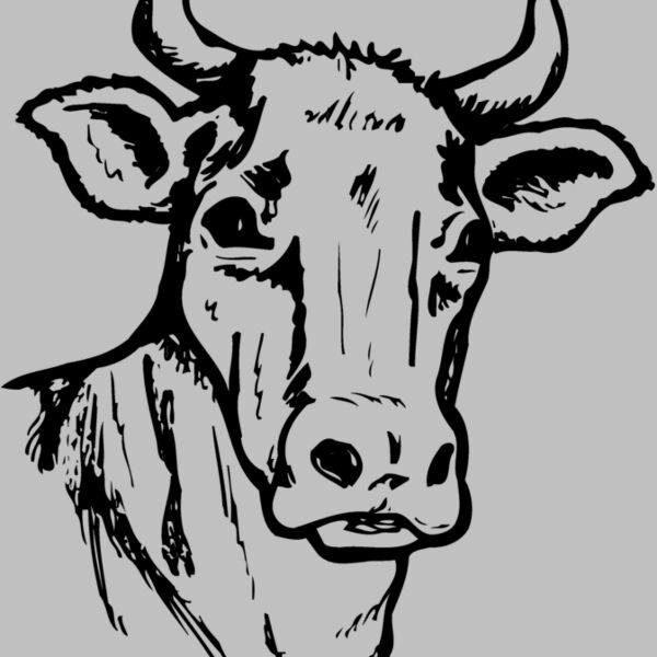 COW006 Thumbnail