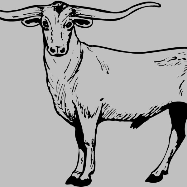 COW016 Thumbnail