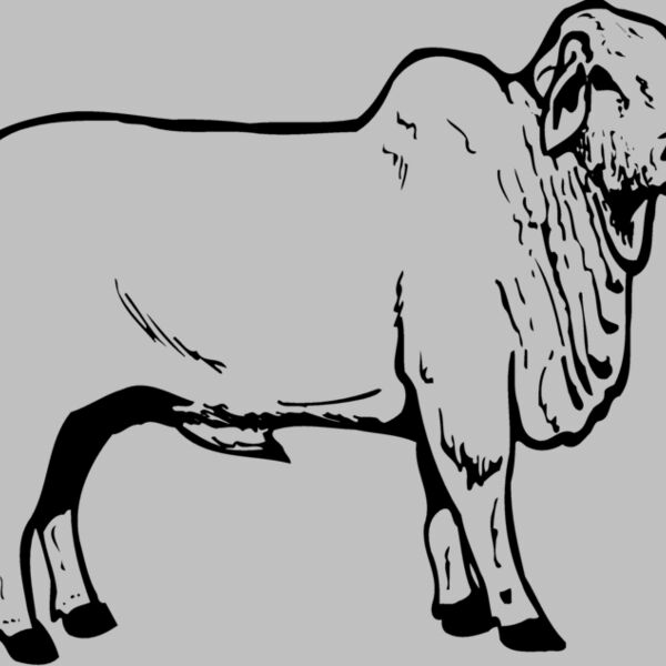 COW019 Thumbnail