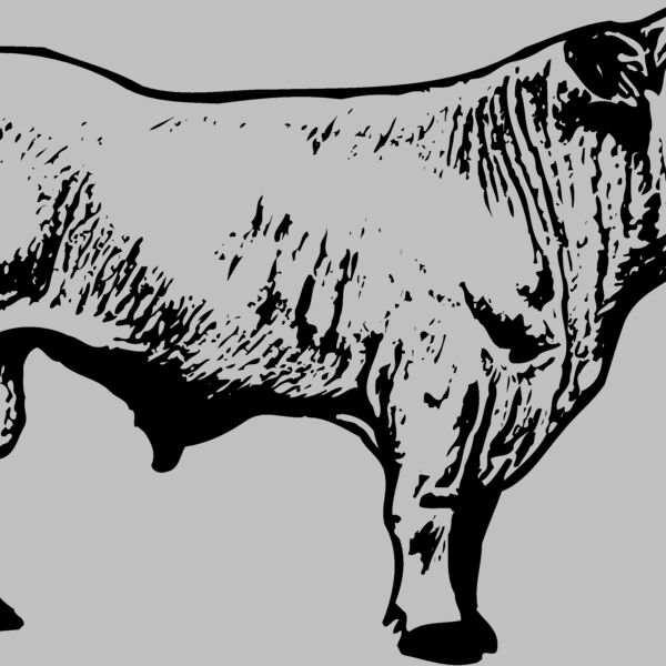 COW023 Thumbnail