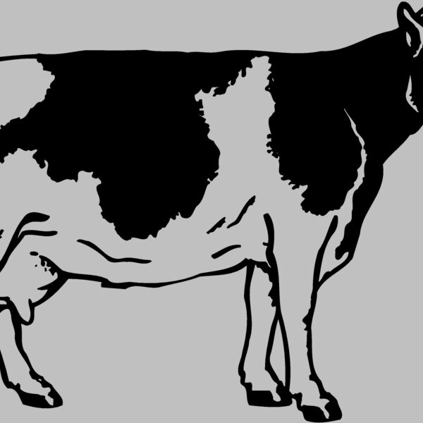 COW024 Thumbnail