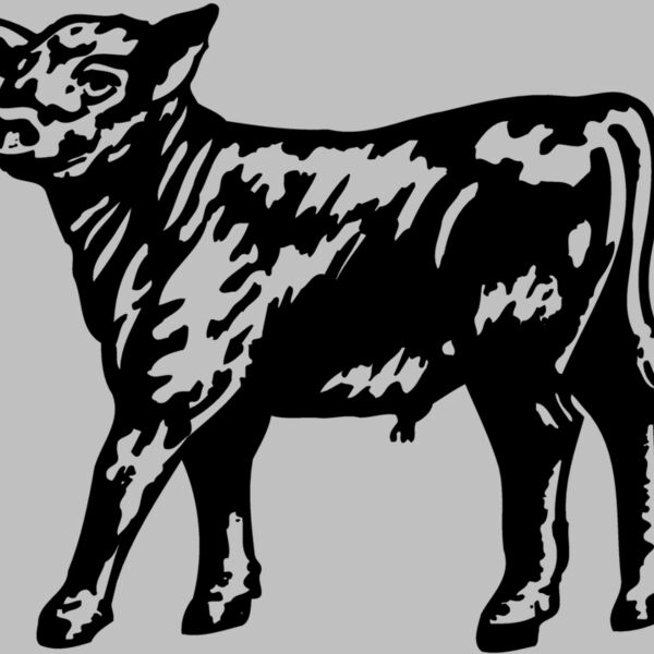 COW025 Thumbnail