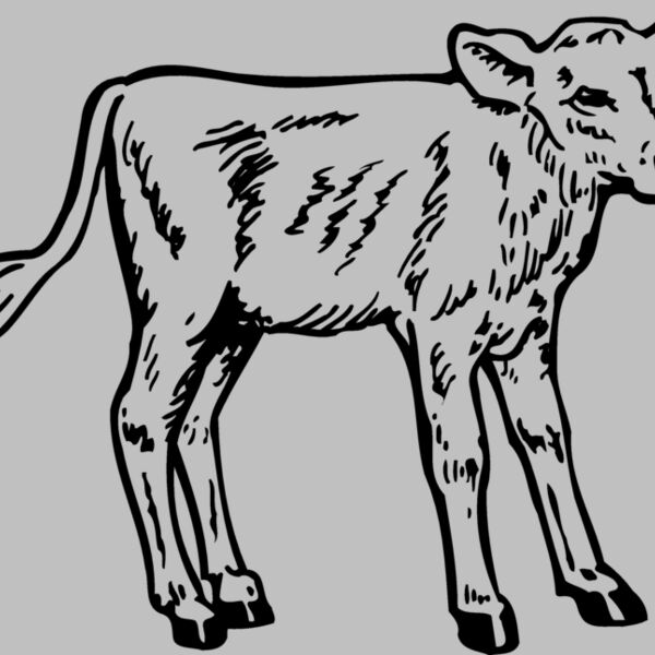 COW028 Thumbnail