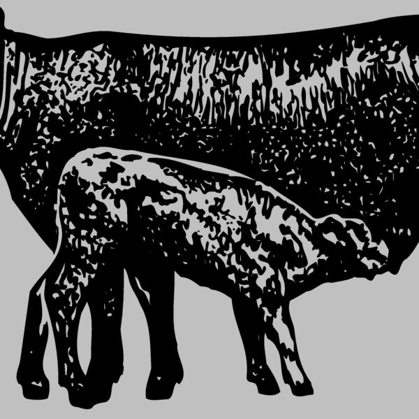 COW029 Thumbnail