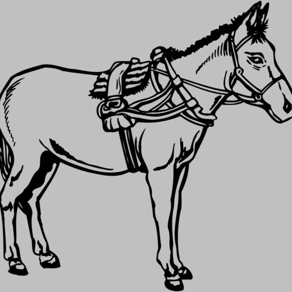 BURRO007 Thumbnail