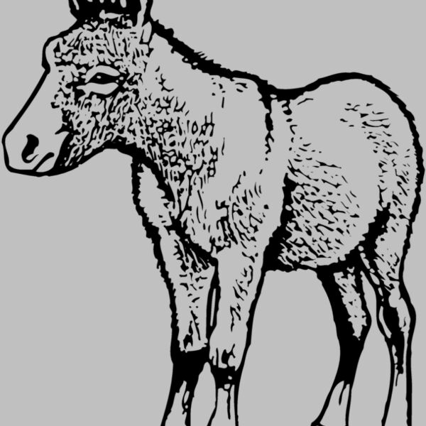 BURRO009 Thumbnail