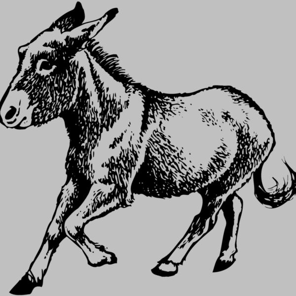 BURRO011 Thumbnail