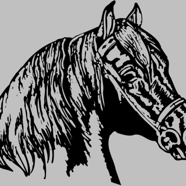 HORSE002 Thumbnail