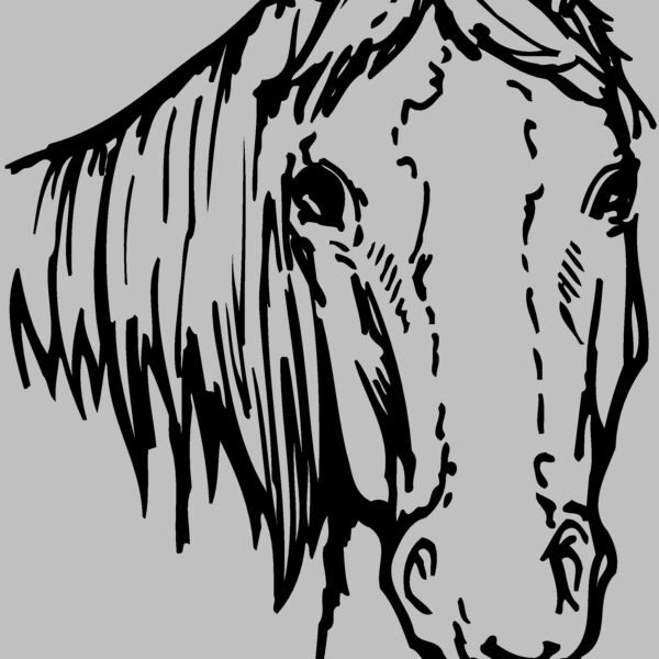 HORSE004 Thumbnail