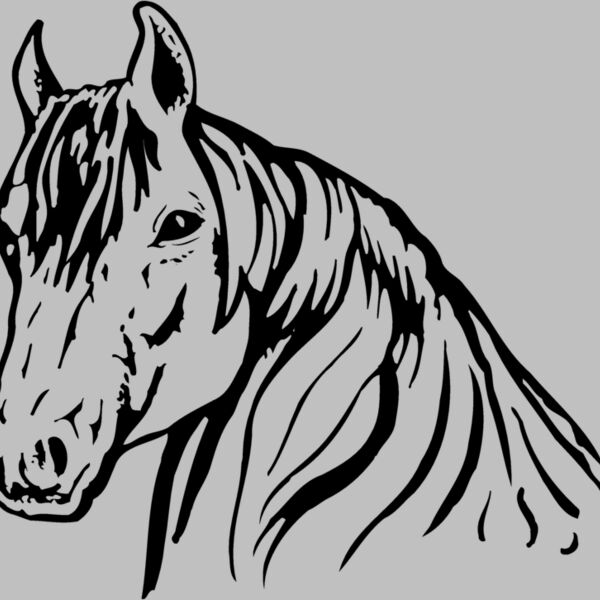 HORSE006 Thumbnail