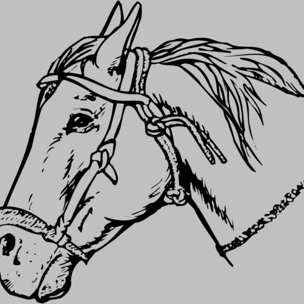 HORSE007 Thumbnail