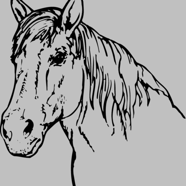 HORSE009 Thumbnail