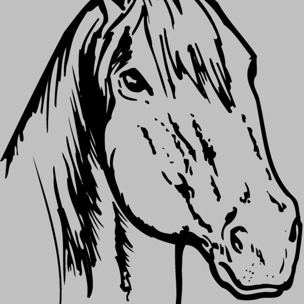 HORSE011 Thumbnail
