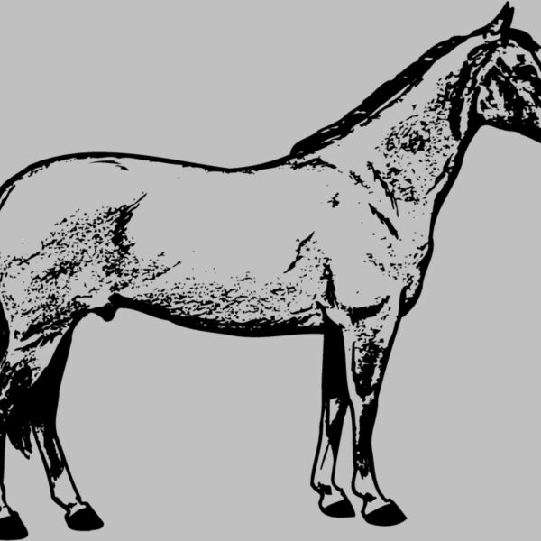 HORSE020 Thumbnail