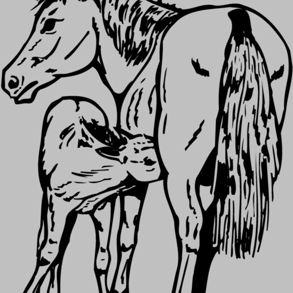 HORSE036 Thumbnail