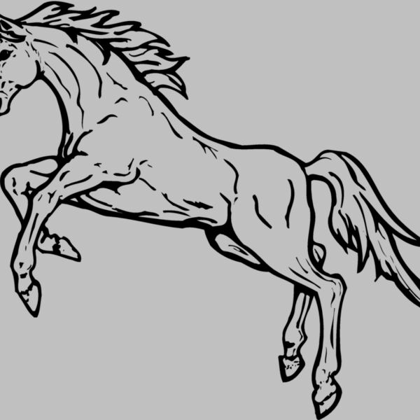 HORSE037 Thumbnail