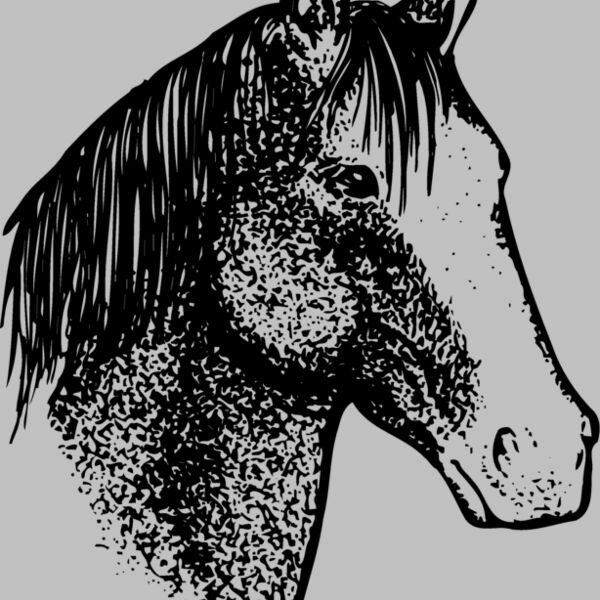 HORSE046 Thumbnail