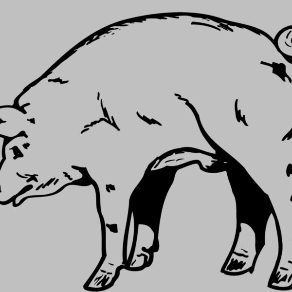 PIG0002 Thumbnail