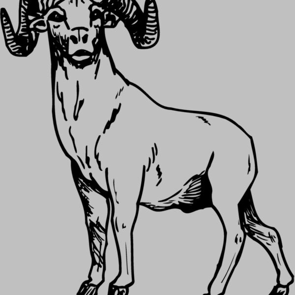 RAM009 Thumbnail