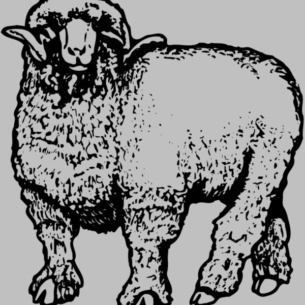 SHEEP001 Thumbnail