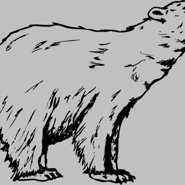 BEAR016 Thumbnail