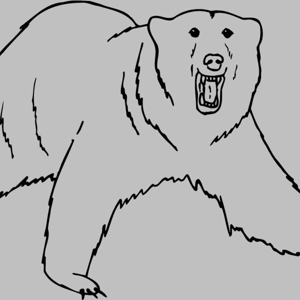 BEAR021 Thumbnail