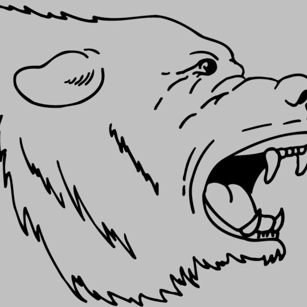 BEAR022 Thumbnail