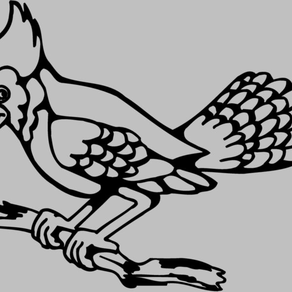 BIRD035 Thumbnail
