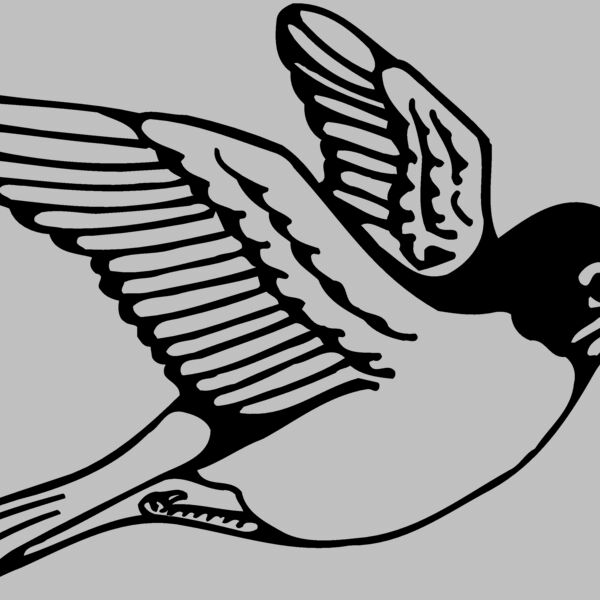 BIRD039 Thumbnail