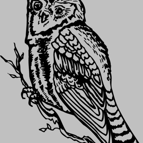 BIRD048 Thumbnail