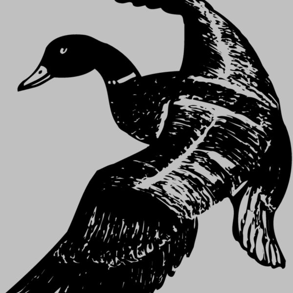 BIRD081 Thumbnail