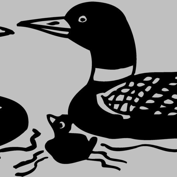 BIRD085 Thumbnail