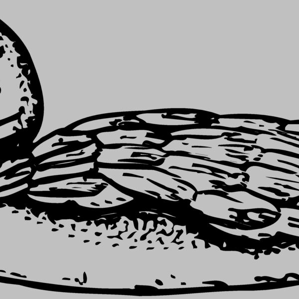 BIRD093 Thumbnail