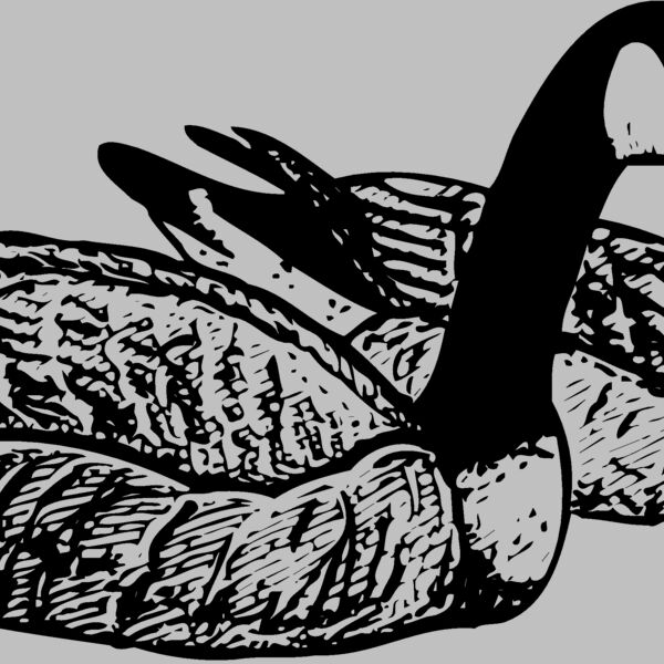 BIRD100 Thumbnail