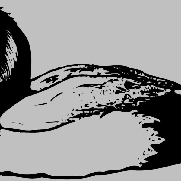 BIRD103 Thumbnail