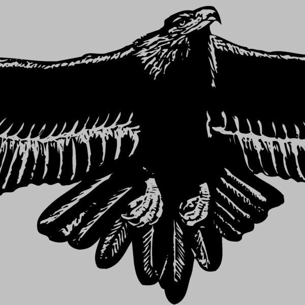 EAGLE010 Thumbnail