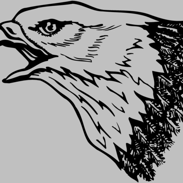 EAGLE013 Thumbnail