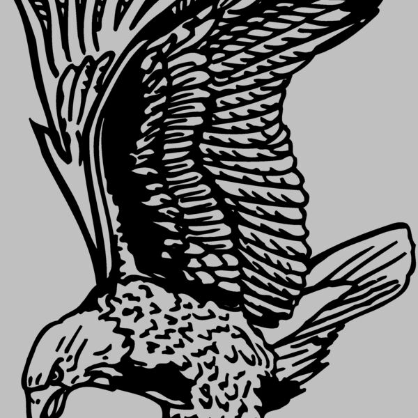 EAGLE020 Thumbnail