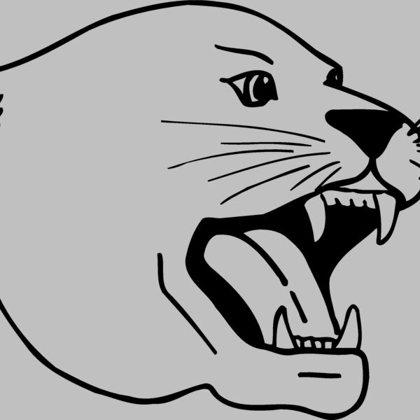 CAT04 Thumbnail