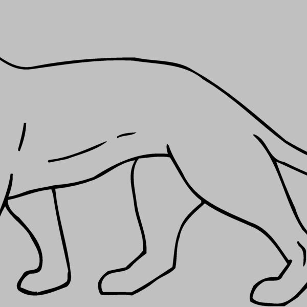 CAT05 Thumbnail