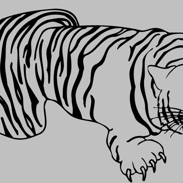 CAT09 Thumbnail
