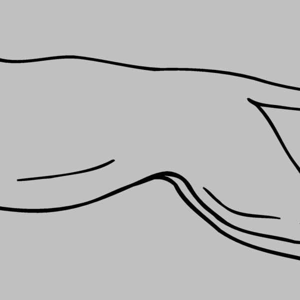 CAT12 Thumbnail