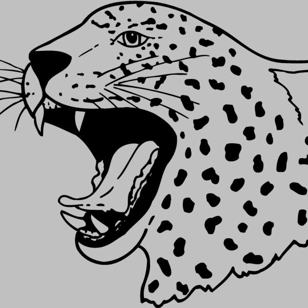 CAT13 Thumbnail