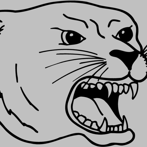 CAT17 Thumbnail