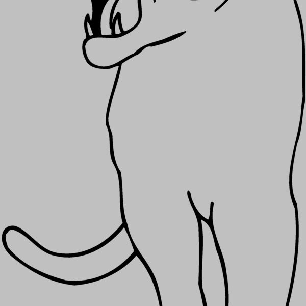 CAT18 Thumbnail