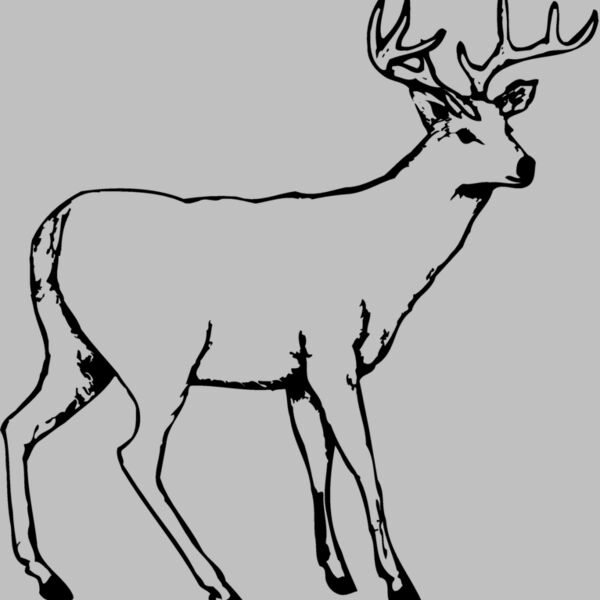 DEER002 Thumbnail