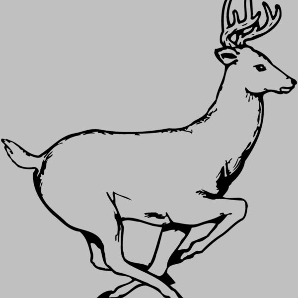 DEER003 Thumbnail