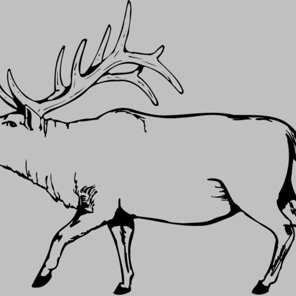 DEER004 Thumbnail