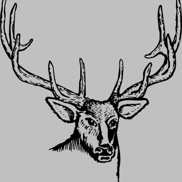 DEER007 Thumbnail